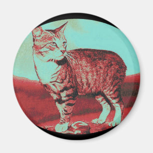 die Manx Katze Magnet