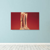 Die Marco Cat mit dem Schlüssel aus Florida Leinwanddruck (Insitu (Holzboden))