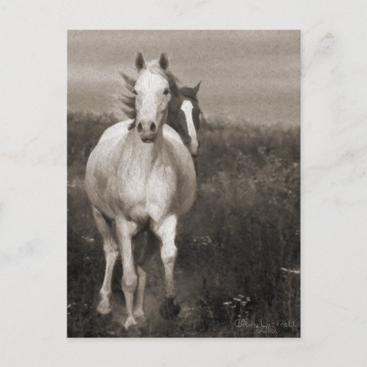 Die Mares in der Freiheit Postkarte (Vorderseite)