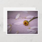 "Die Margaret sagte: JA!" Postkarte (Vorne/Hinten)