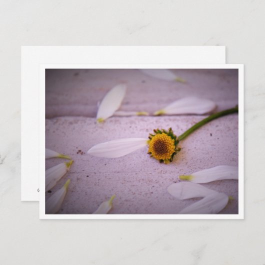 "Die Margaret sagte: JA!" Postkarte (Vorne/Hinten)