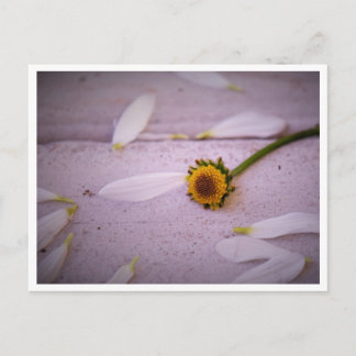 "Die Margaret sagte: JA!" Postkarte