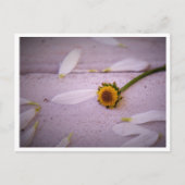 "Die Margaret sagte: JA!" Postkarte (Vorderseite)