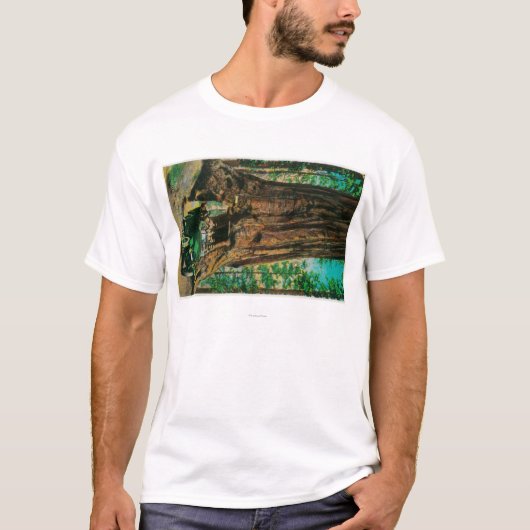 Die Mariposa große Baum-Waldung, Yosemite T-Shirt (Vorderseite)