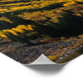 Die Maroon-Glocken im Herbst-Gold Poster (Ecke)