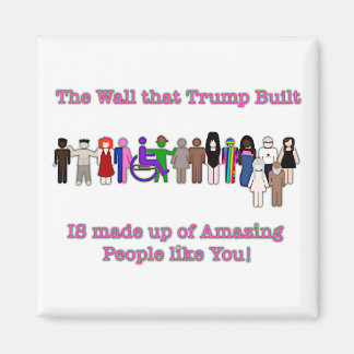 Die Mauer, die Trump errichtet hat Magnet