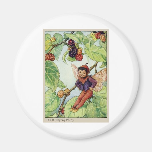 Die Maulberry Fairy Magnet (Vorne)