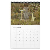 Die Maus im Blockhaufen  Kalender (Feb 2027)