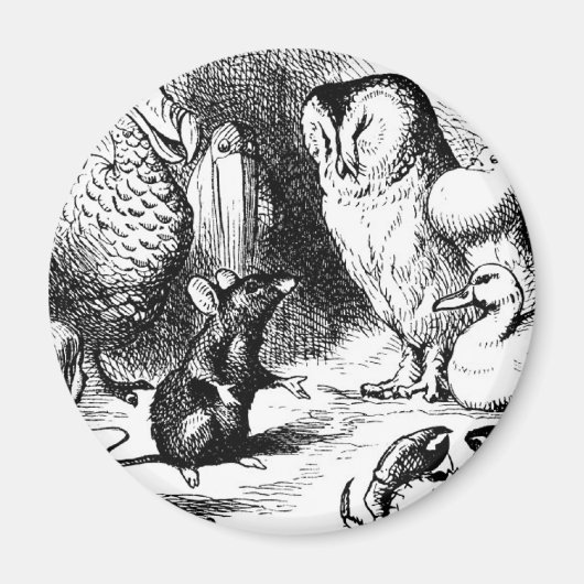 Die Maus und die trockene Geschichte Magnet (Vorne)