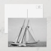 Die Mayflower Postkarte (Vorne/Hinten)