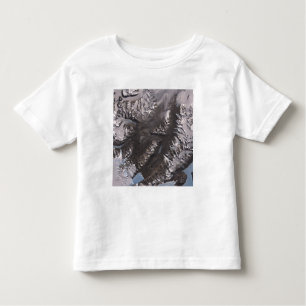 Die McMurdo Dry Valleys Kleinkind T-shirt