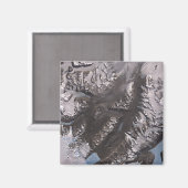 Die McMurdo Dry Valleys Magnet (Vorderseite/Rückseite)