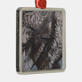 Die McMurdo Dry Valleys Ornament Aus Metall (Rechts)