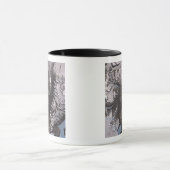 Die McMurdo Dry Valleys Tasse (Zentrum)