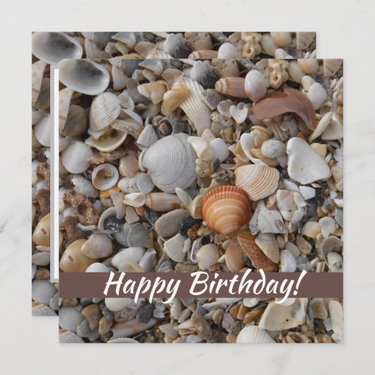 Die Meeresbucht am Geburtstag (Vorne/Hinten)