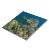 Die Meeresschildkröte (Chelonia mydas) ist die zwe Fliese (Seite)