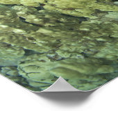 Die Meeresschildkröte (Chelonia mydas) ist die zwe Poster (Ecke)