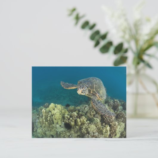 Die Meeresschildkröte (Chelonia mydas) ist die zwe Postkarte (Stehend Vorderseite)