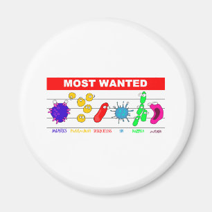 Die meisten wollten magnet