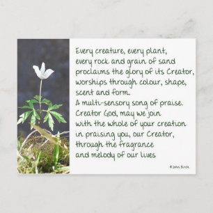 Die Melodie unseres Lebens - ein Gebet Postkarte