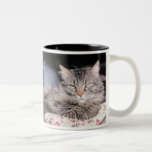 Die menschliche Rasse sollte es besser wissen Zweifarbige Tasse (Rechts)