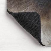 Die Miezekatze Mousepad des blauen Auges (Ecke)