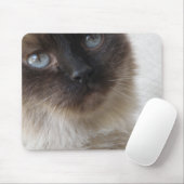 Die Miezekatze Mousepad des blauen Auges (Mit Mouse)