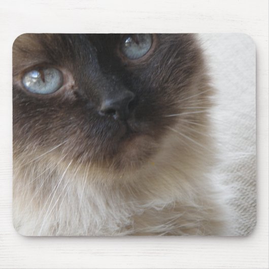 Die Miezekatze Mousepad des blauen Auges (Vorne)