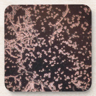 die mikroskopische Hefe 3D machte Berg nass Getränkeuntersetzer