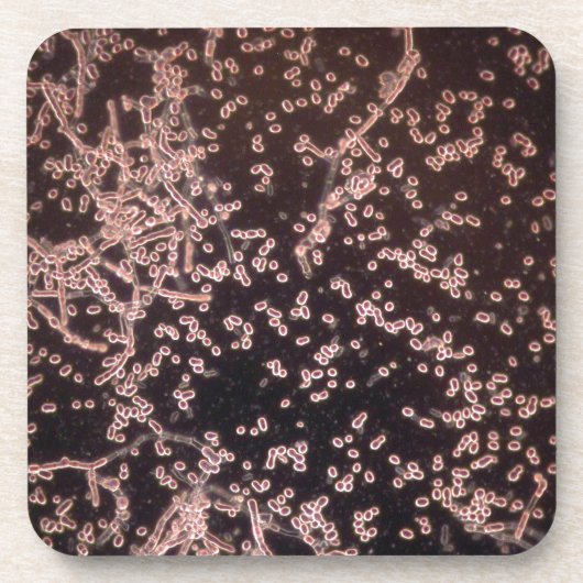 die mikroskopische Hefe 3D machte Berg nass Getränkeuntersetzer (Vorderseite)