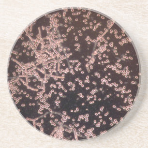 die mikroskopische Hefe 3D machte Berg nass Untersetzer