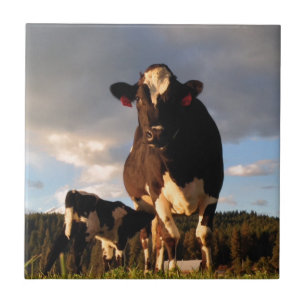 Die Milch der Mama Fliese