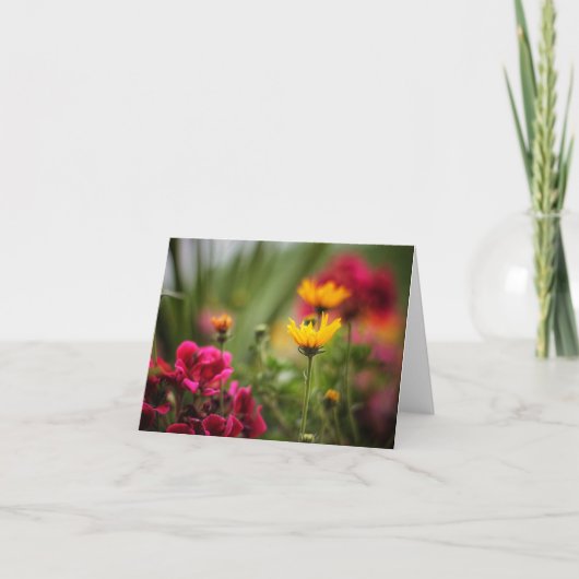 Die Mitteilungskarten des Sommers (Vorderseite)