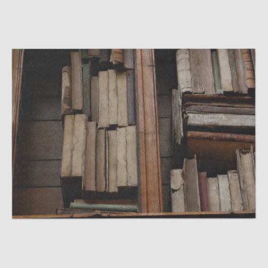 Die mittelalterliche Bibliothek und Bücher der Ant Seidenpapier (Vorderseite)