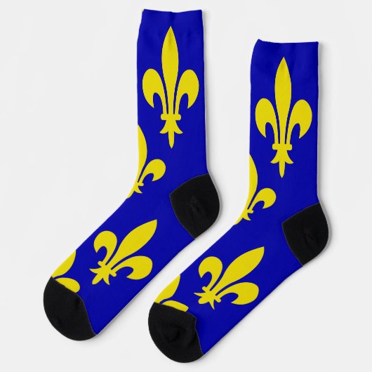 Die mittelalterliche Flagge Frankreichs Socken (Linkes Detail)