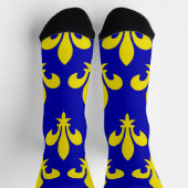 Die mittelalterliche Flagge Frankreichs Socken (Oben)