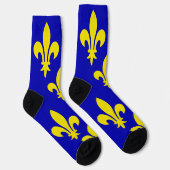Die mittelalterliche Flagge Frankreichs Socken (Rechts)