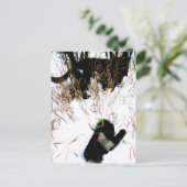 Die Mitten-ukrainische Volksgeschichte Postkarte (Stehend Vorderseite)