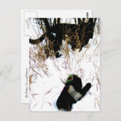 Die Mitten-ukrainische Volksgeschichte Postkarte (Vorne/Hinten)