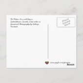 Die Mitten-ukrainische Volksgeschichte Postkarte (Rückseite)