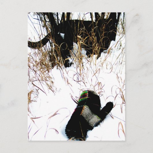 Die Mitten-ukrainische Volksgeschichte Postkarte (Vorderseite)