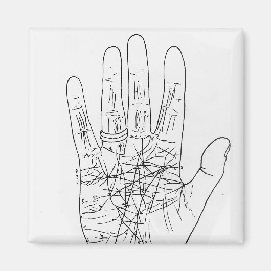 Die Modellhand Magnet (Vorne)