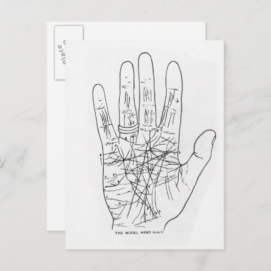 Die Modellhand Postkarte (Vorne/Hinten)