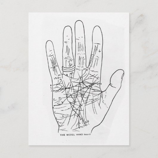 Die Modellhand Postkarte (Vorderseite)