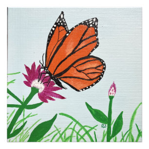 Die Monarchschmetterlinge Fotodruck