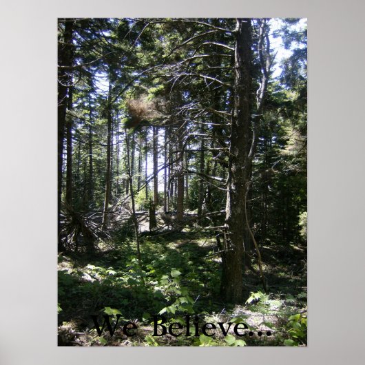 Die Monhegan Fairy Poster (Vorne)