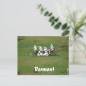 Die Mooklappen Postkarte (Stehend Vorderseite)