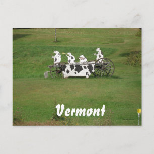 Die Mooklappen Postkarte