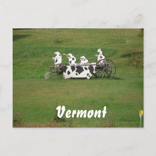 Die Mooklappen Postkarte (Vorderseite)