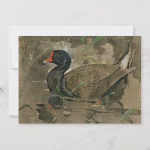Die Moorhen   Joseph Crawhall